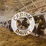 Caring Dairy