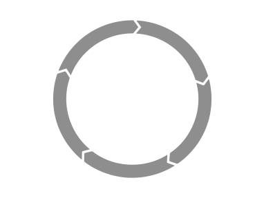 Product Life Cycle Icon